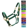 Valhoma BACS Halter GREEN 1100-1500L