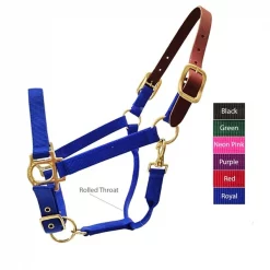 Valhoma Breakaway Halter PURPLE 800-1100LB