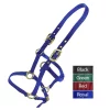 Valhoma Weanling Halter BLACK