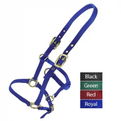 Valhoma Weanling Halter GREEN