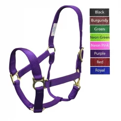 Valhoma QS Halter PURPLE 1100-1500L