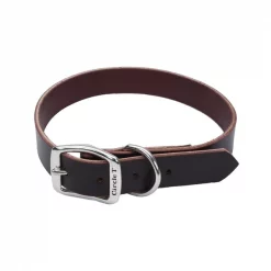 Coastal Pet Circle T Latigo Leather Town Dog Collar Flat 5/8" 16"