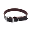 Coastal Pet Circle T Latigo Leather Town Dog Collar Flat 3/4" 20"