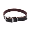 Coastal Pet Circle T Latigo Leather Town Dog Collar Flat 1" 22"