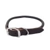 Coastal Pet Circle T Latigo Leather Dog Collar Round 3/8" 14"