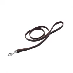 Coastal Pet Circle T Latigo Leather Dog Leash Flat 5/8”