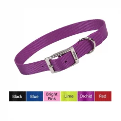 Coastal Pet Coastal Single-Ply Nylon Dog Collar 5/8” ORCHID 16"