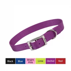 Coastal Pet Coastal Single-Ply Nylon Dog Collar 1” ORCHID 20"