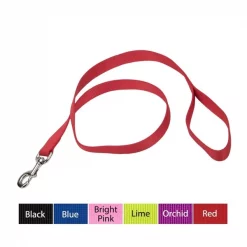 Coastal Pet Coastal Single-Ply Nylon Dog Leash 1” BRIGHT PNK
