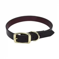 Coastal Pet Latigo Leather Town Dog Collar with Solid Brass Hardware 5/8” 16"