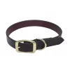 Coastal Pet Latigo Leather Town Dog Collar with Solid Brass Hardware 3/4” 20"