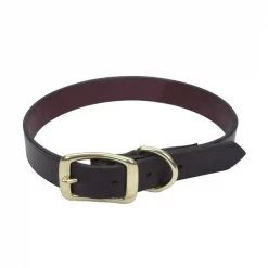 Coastal Pet Latigo Leather Town Dog Collar with Solid Brass Hardware 3/4” 18"