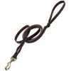 Coastal Pet Coastal Latigo Leather Twist Dog Leash with Solid Brass 5/8”