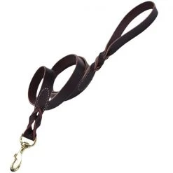 Coastal Pet Coastal Latigo Leather Twist Dog Leash with Solid Brass 1”