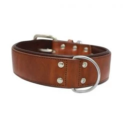 Angel Pet Dallas Leather Dog Collar 2" 26"