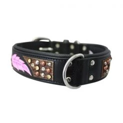 Angel Pet Sedona Leather Dog Collar 2" 26"