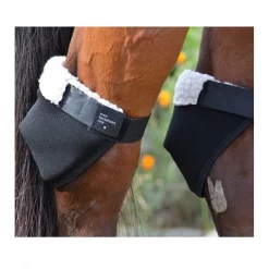 Click Horse Products Click Hock Shields REGULAR
