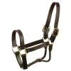 Jacks Inc. Leather 1-1/8" Track Halter HORSE