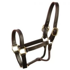 Jacks Inc. Leather 1-1/8" Track Halter HORSE