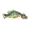 Steel Dog Freshwater Sunfish with Rope