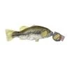 Steel Dog Freshwater Bass with Rope