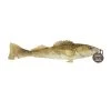 Steel Dog Freshwater Walleye with Rope