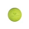 Caitec Chase 'N Chomp Hi Bouncer Ball 2.85"