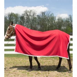 Curvon Horse Clothing Award Cooler Taped & Bound 84" x 90" GREEN