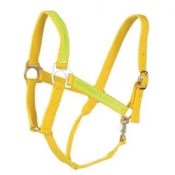 Jacks Imports Reflective Halter