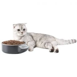 Pawsmark Digital Scale Dog Feeding Bowl, Removable Washable Stainless Steel Bowl -Animal&Pet Supplies store Quickway20Imports20Inc 669353xx00d573