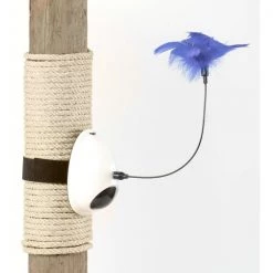 Pawsmark Interactive 2-in-1 Spring Feather and Red Light Chaser Cat Toy -Animal&Pet Supplies store Quickway20Imports20Inc 669850xx7c20ef