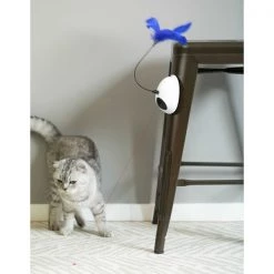 Pawsmark Interactive 2-in-1 Spring Feather and Red Light Chaser Cat Toy -Animal&Pet Supplies store Quickway20Imports20Inc 669858xx457c3f