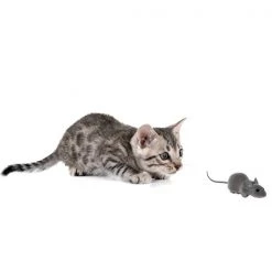 Pawsmark Electronic Remote Control Gray Mouse Cat Toy with App and Realistic Appearance -Animal&Pet Supplies store Quickway20Imports20Inc 768393xxaf41d6