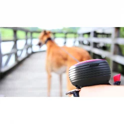 ReLeash Hands Free Dog Leash, 9-Foot Cord, Bungee Black -Animal&Pet Supplies store Safetech20Hardware20Inc ReLeashxx6