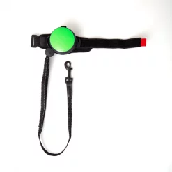 ReLeash Hands Free Dog Leash, 9-Foot Cord, Green