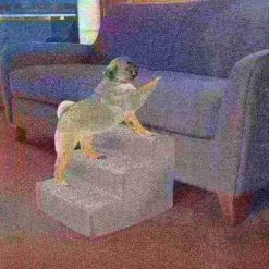 Pet Adobe High Density Foam Stairs 3 Step Design, Ramp for Small Dogs, Cats with Cover, Gray -Animal&Pet Supplies store TG20Midco20LLC20dba20Trademark20Global20LLC 113544dfuxx4xxd479b6