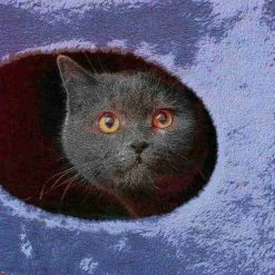 Cat Condo 2 Story Double hole with scratching surface 14in diameter 20.5in high gray by Pet Adobe -Animal&Pet Supplies store TG20Midco20LLC20dba20Trademark20Global20LLC 129409xsvxx4xxdda0c7