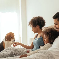 Pet Adobe Folding Pet Stairs Carpeted Durable Wood Steps for Home or Travel | Best for Dog / Pets up to 80lbs -Animal&Pet Supplies store TG20Midco20LLC20dba20Trademark20Global20LLC 130708bwtxx5xxb36f63