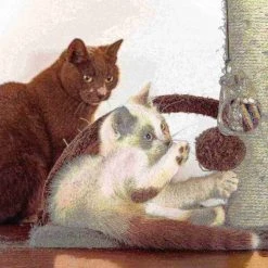 Pet Adobe 3-tier 31-inch Cat Tree Multilevel Tower with Scratching Posts, Bed and Toys for Cats/Kittens -Animal&Pet Supplies store TG20Midco20LLC20dba20Trademark20Global20LLC 133869qgixx5xx6c56f0