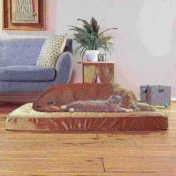 Pet Adobe Pet Bed Egg Crate with 100-percent Memory Foam Orthopedic Cushion Water-Resistant 46 x 27 x 4 -Animal&Pet Supplies store TG20Midco20LLC20dba20Trademark20Global20LLC 137181vztxx5xx10fa26