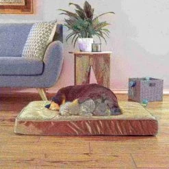 Pet Adobe Pet Bed Egg Crate with 100-percent Memory Foam Orthopedic Cushion Water-Resistant 37 x 24 x 4 -Animal&Pet Supplies store TG20Midco20LLC20dba20Trademark20Global20LLC 164960hxxxx5xxee1276