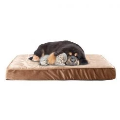 Pet Adobe Pet Bed Egg Crate with 100-percent Memory Foam Orthopedic Cushion Water-Resistant 37 x 24 x 4
