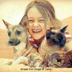 Pet Adobe Water Fountain for Pets with 2-liter Capacity Indoor Automatic Electric Water Dispenser (Dogs/Cats) -Animal&Pet Supplies store TG20Midco20LLC20dba20Trademark20Global20LLC 182972cyrxx5xxaf54ff