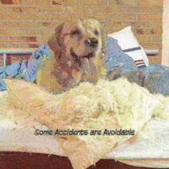 Pet Adobe Freestanding 3 Panel Folding Pet Gate -Animal&Pet Supplies store TG20Midco20LLC20dba20Trademark20Global20LLC 209254cttxx3xx385a19