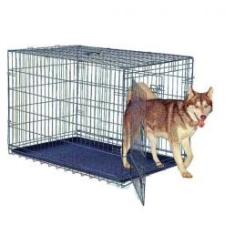 2193 Pet Adobe 42" Folding Pet Crate Double Door Kennel Wire Cage for Dogs, Cats or Rabbits -Animal&Pet Supplies store TG20Midco20LLC20dba20Trademark20Global20LLC 222527pwdxx3xx624b37