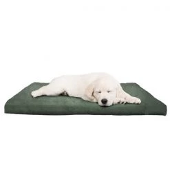 Pet Adobe 3 inch Foam Pet Bed-35x44 inches-Forest