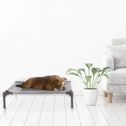 Pet Adobe Elevated Portable Pet Bed Cot-Style 30”x24”x7” for Dogs and Small Pets | Indoor/Outdoor (Gray) -Animal&Pet Supplies store TG20Midco20LLC20dba20Trademark20Global20LLC 302425fggxx6xx15f314
