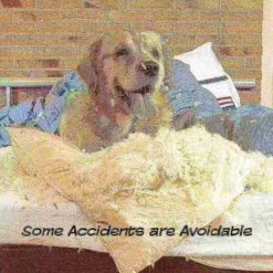 Pet Adobe Walk Through Pet Gate (White) -Animal&Pet Supplies store TG20Midco20LLC20dba20Trademark20Global20LLC 306250hifxx4xx8b874f