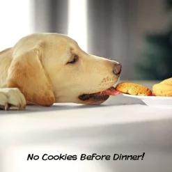 Pet Adobe Walk Through Pet Gate (White) -Animal&Pet Supplies store TG20Midco20LLC20dba20Trademark20Global20LLC 306250hifxx5xx87b6b3