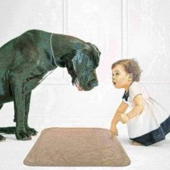 Pet Adobe 40x30 Waterproof Pet Throw Blanket, Tan -Animal&Pet Supplies store TG20Midco20LLC20dba20Trademark20Global20LLC 311760hyfxx3xxab1c61